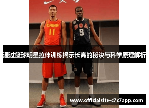 通过篮球明星拉伸训练揭示长高的秘诀与科学原理解析
