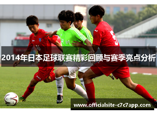 2014年日本足球联赛精彩回顾与赛季亮点分析