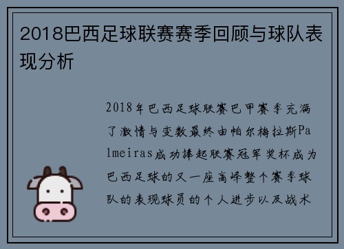 2018巴西足球联赛赛季回顾与球队表现分析