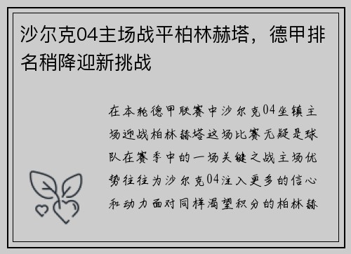 沙尔克04主场战平柏林赫塔，德甲排名稍降迎新挑战